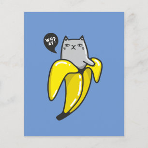 Cat in banana