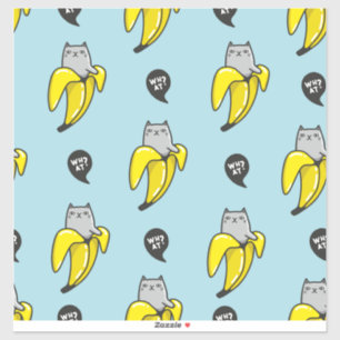 Cat in banana