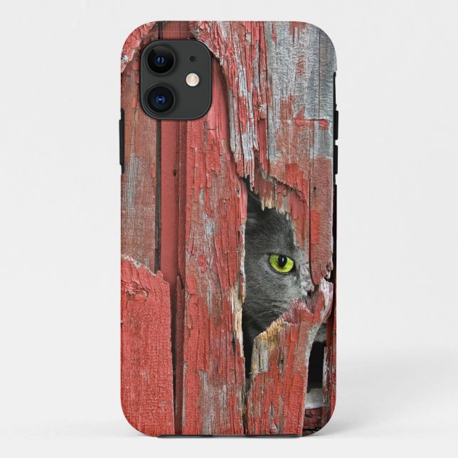 Cat in barn wood hole Case-Mate iPhone case (Back)
