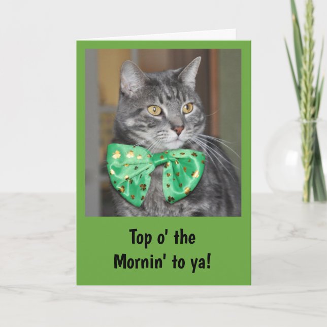 Cat in bowtie for St. Patrick's Day Card (Front)