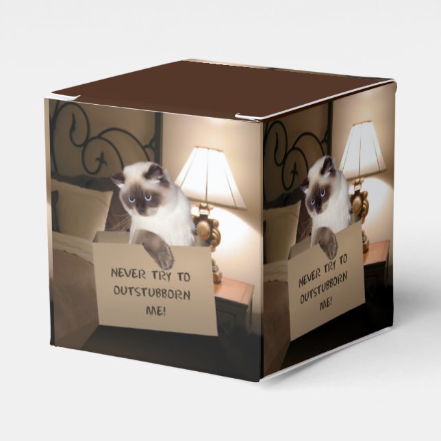 Cat in Box (Front Side)