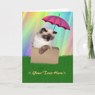 Cat in Box Card