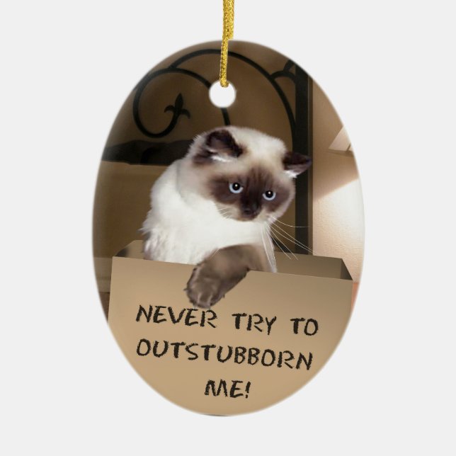 Cat in Box Ceramic Tree Decoration (Front)