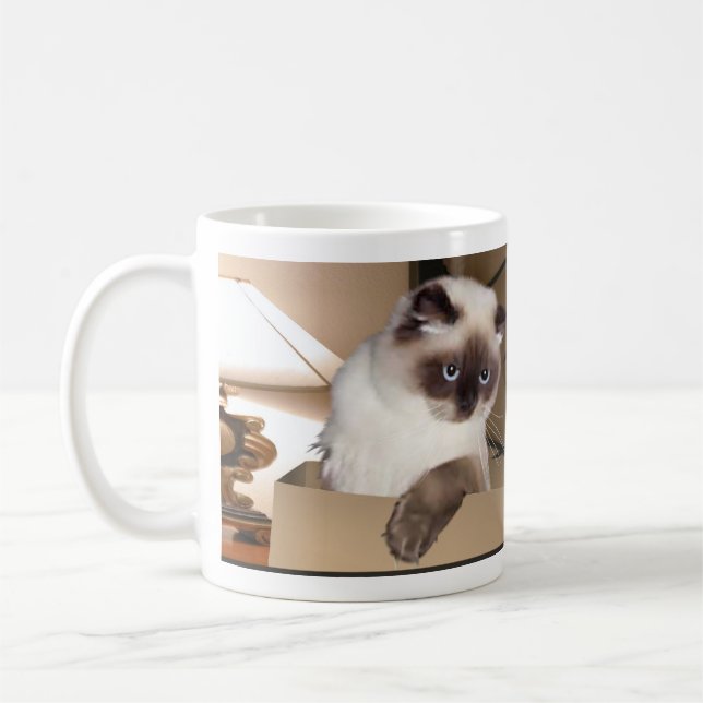 Cat in Box Coffee Mug (Left)