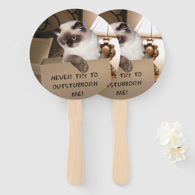 Cat in Box Hand Fan (Front and Back)