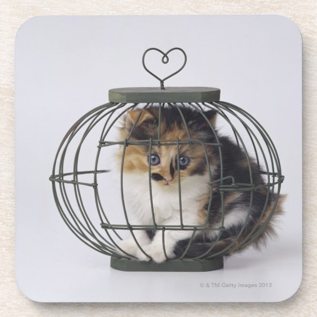 Cat in cage coaster (Front)