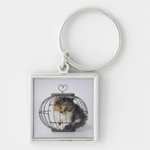 Cat in cage key ring