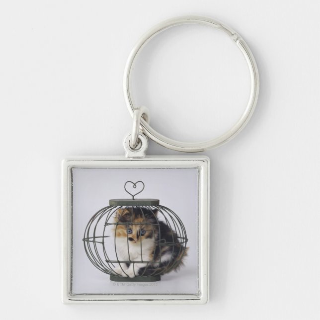 Cat in cage key ring (Front)
