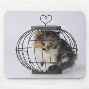 Cat in cage mouse pad
