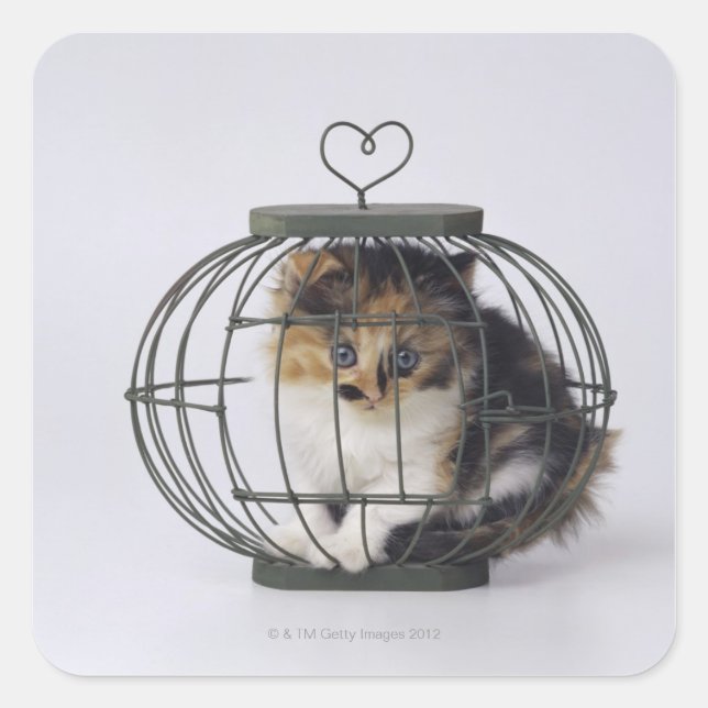 Cat in cage square sticker (Front)