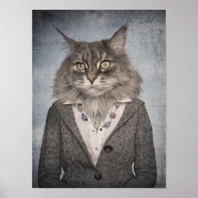Cat In Clothes Poster (Front)