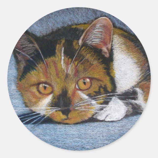 CAT IN COLOR PENCIL: STICKERS (Front)