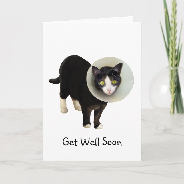 Cat in Cone Get Well Card (Front)