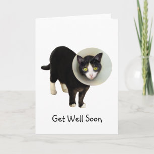 Cat in Cone Get Well Card