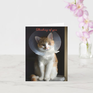  Cat in Cone Thinking of you,  Cat Get well soon Card