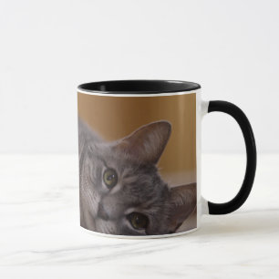 Cat In Cute Pose Lying on the Floor Mug