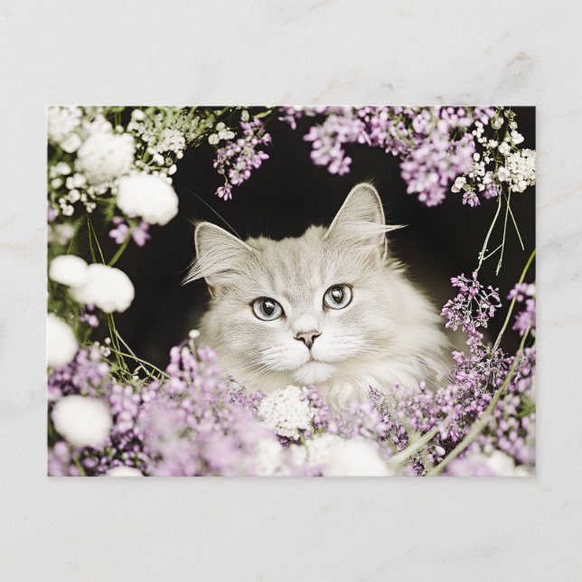 Cat in Flowers Postcard (Front)