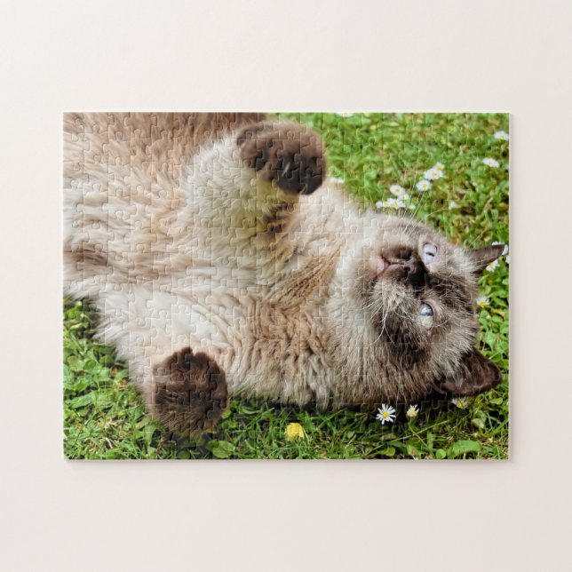 Cat in Garden Puzzle (Horizontal)