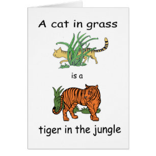 Cat in Grass is a Tiger in the Jungle