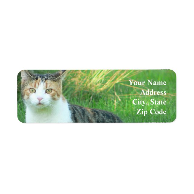 Cat in grass return address label (Front)