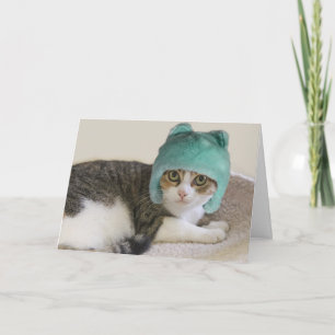 Cat in Hat Birthday by Focus for a Cause Card