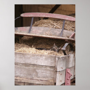 Cat in Hay Wagon Print