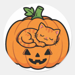 Cat in Jack O Lantern Halloween Classic Round Sticker