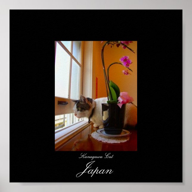 Cat in Kanagawa, Japan Poster (Front)