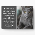 Cat In Loving Memory Photo Modern Memorial Plaque