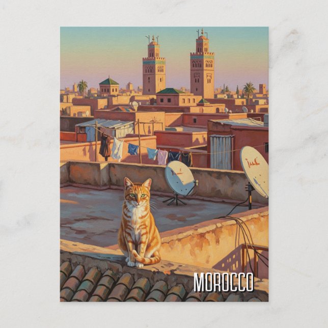 Cat in Marrakesh Morocco Travel Postcard (Front)