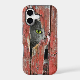 Cat in old barn