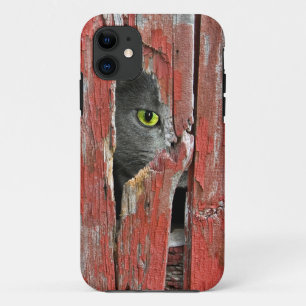 Cat in old barn iPhone 11 case