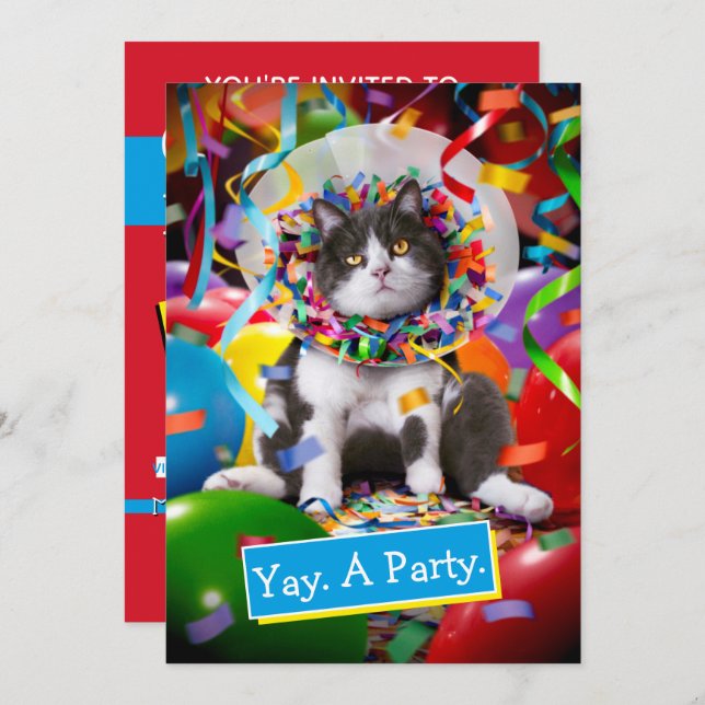 Cat In Party Cone Invitation (Front/Back)
