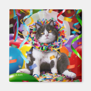 Cat In Party Cone Magnet