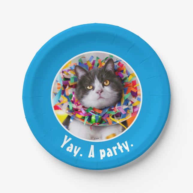 Cat In Party Cone Paper Plate (Front)