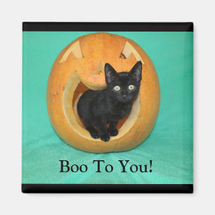 Cat In Pumpkin 2 Inch Square Magnet