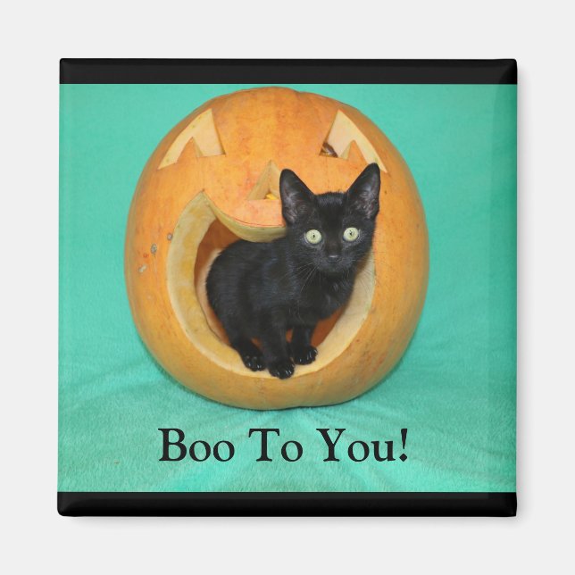 Cat In Pumpkin 2 Inch Square Magnet (Front)