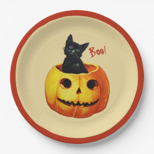 Cat in Pumpkin Halloween Paper Plates