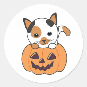 Cat In Pumpkin Sweet Cats Happy Halloween Classic Round Sticker
