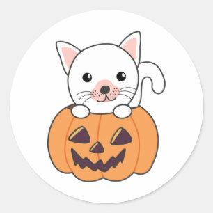 Cat In Pumpkin Sweet Cats Happy Halloween Classic Round Sticker