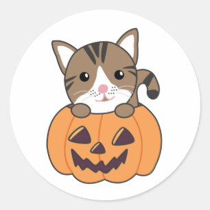 Cat In Pumpkin Sweet Cats Happy Halloween Classic Round Sticker