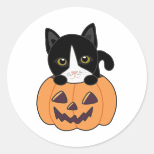Cat In Pumpkin Sweet Cats Happy Halloween Classic  Round Sticker