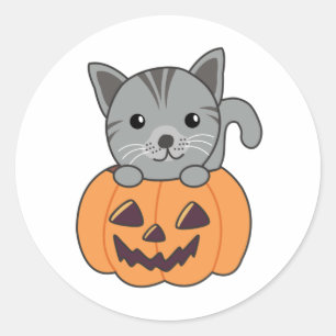 Cat In Pumpkin Sweet Cats Happy Halloween Classic Round Sticker