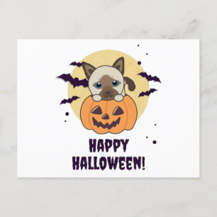 Cat In Pumpkin Sweet Cats Happy Halloween Postcard