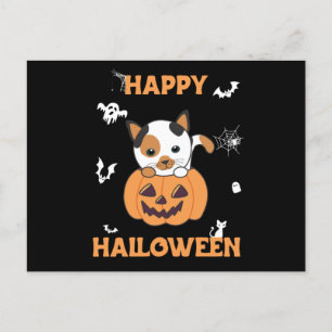 Cat In Pumpkin Sweet Cats Happy Halloween Postcard