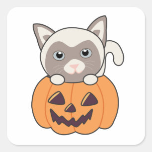 Cat In Pumpkin Sweet Cats Happy Halloween Square S Sticker