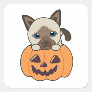 Cat In Pumpkin Sweet Cats Happy Halloween Square S Sticker
