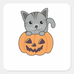 Cat In Pumpkin Sweet Cats Happy Halloween Square Sticker