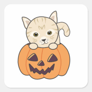 Cat In Pumpkin Sweet Cats Happy Halloween Square Sticker