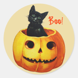 Cat in Pumpkin Vintage Halloween Stickers